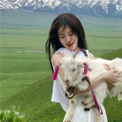 满船春色海报
