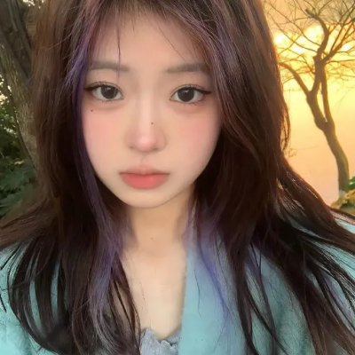 极地熊踪海报